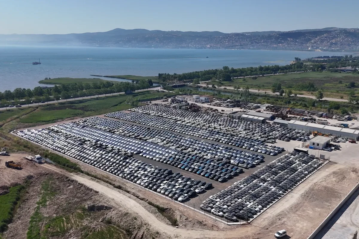 Merci İzmit 2 - Palmiye