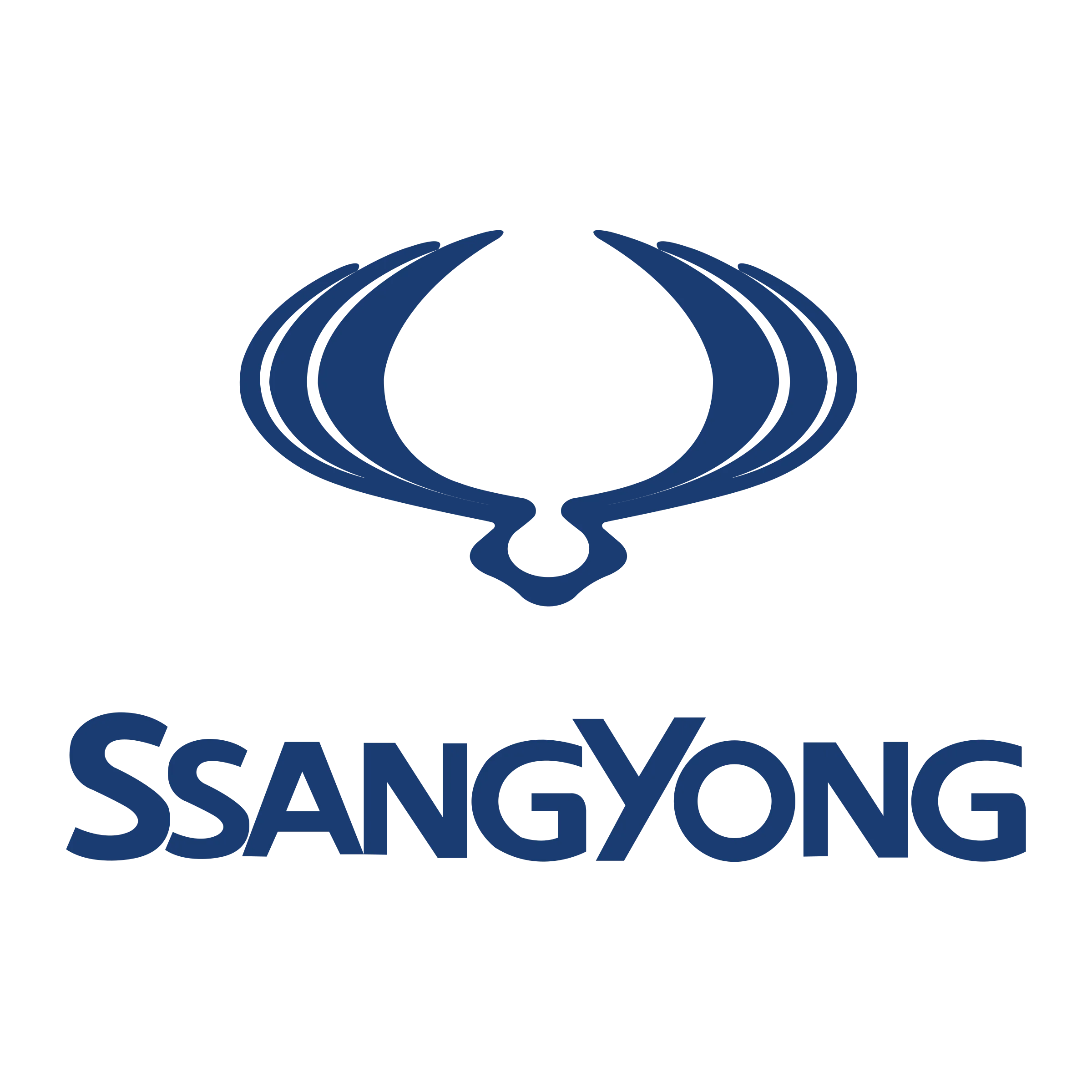 SsangYong Logo